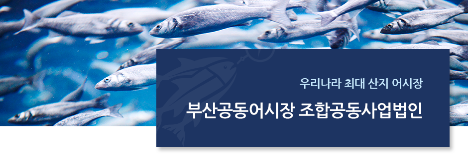 우리나라 최대 산지 어시장 부산공동어시장 조합공동사업법인